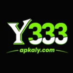 Y333 Game