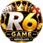 R6 Game